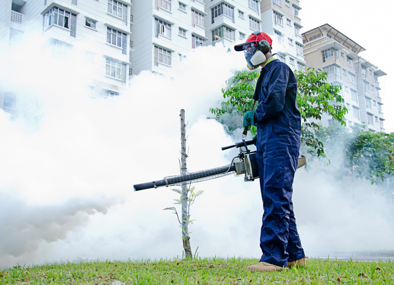 General Fumigation General Fumigation